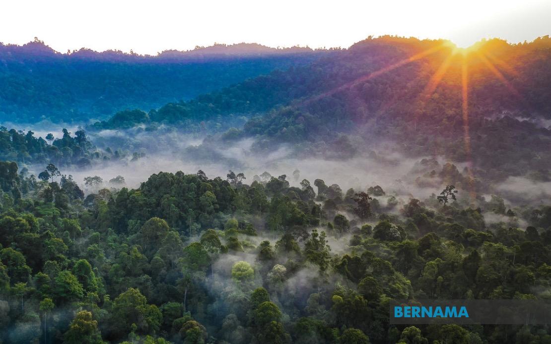 Kelantan to Replace All Degazetted Forest Reserves, State Assures