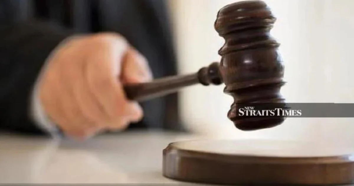Lorry Driver in Fatal FRU Collision Acquitted of Cattle Theft Charge