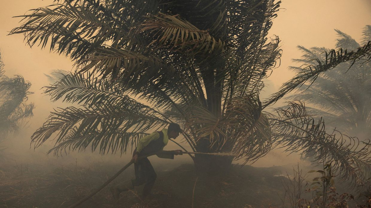 Japan deploys helicopters to combat Kalimantan haze as pollution index hits critical levels
