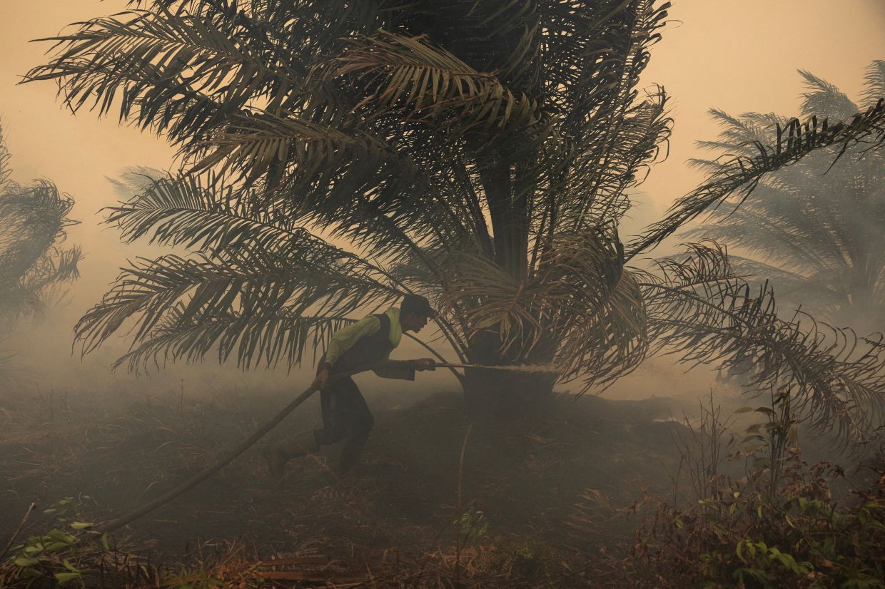 Japan deploys helicopters to combat Kalimantan haze as pollution index hits critical levels