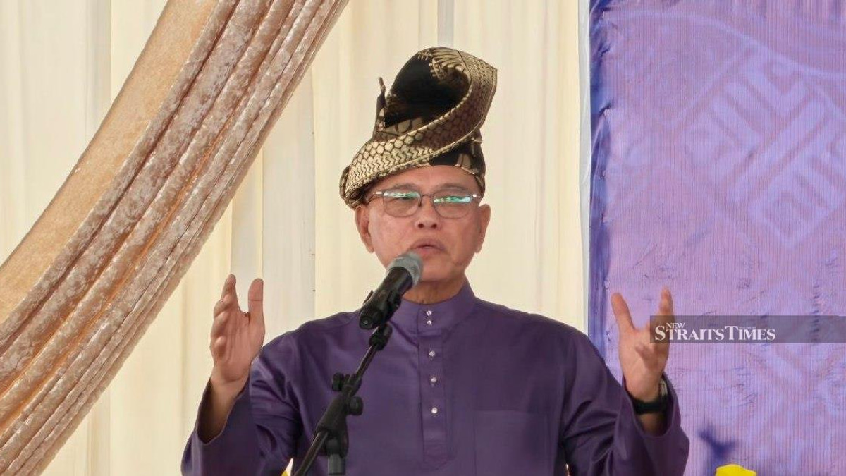Negri Sembilan Election Reflects Voter Pragmatism Over Identity Politics, Says Umno Leadership