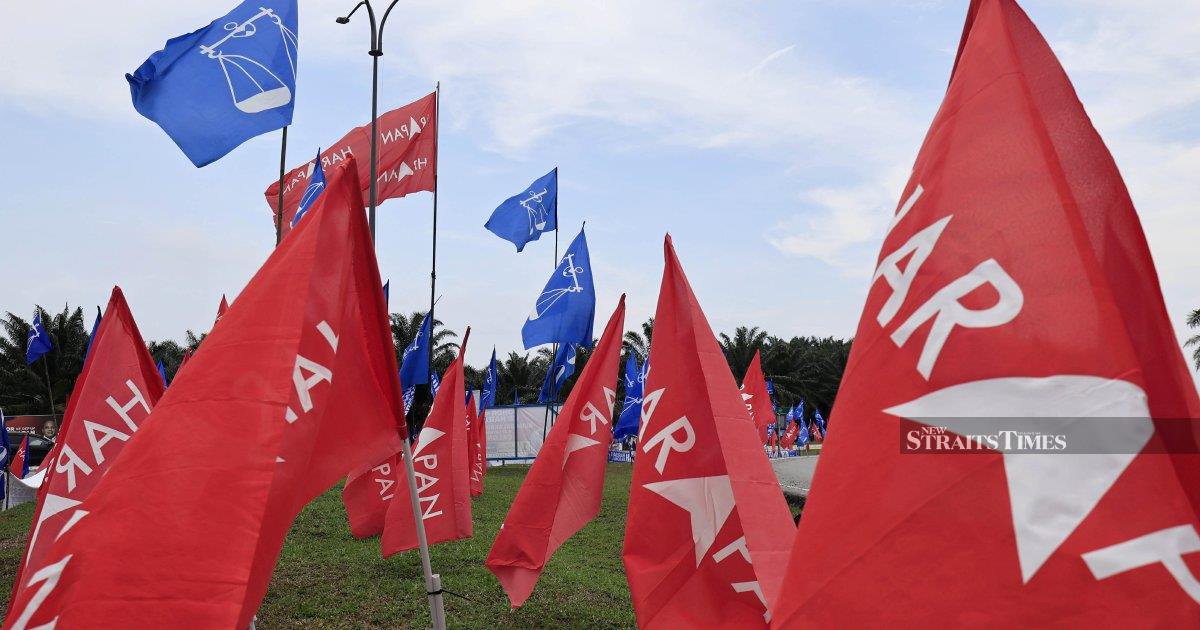 PH Must Prove Reform Credentials With Real Results, Says Analyst After Johor Setback
