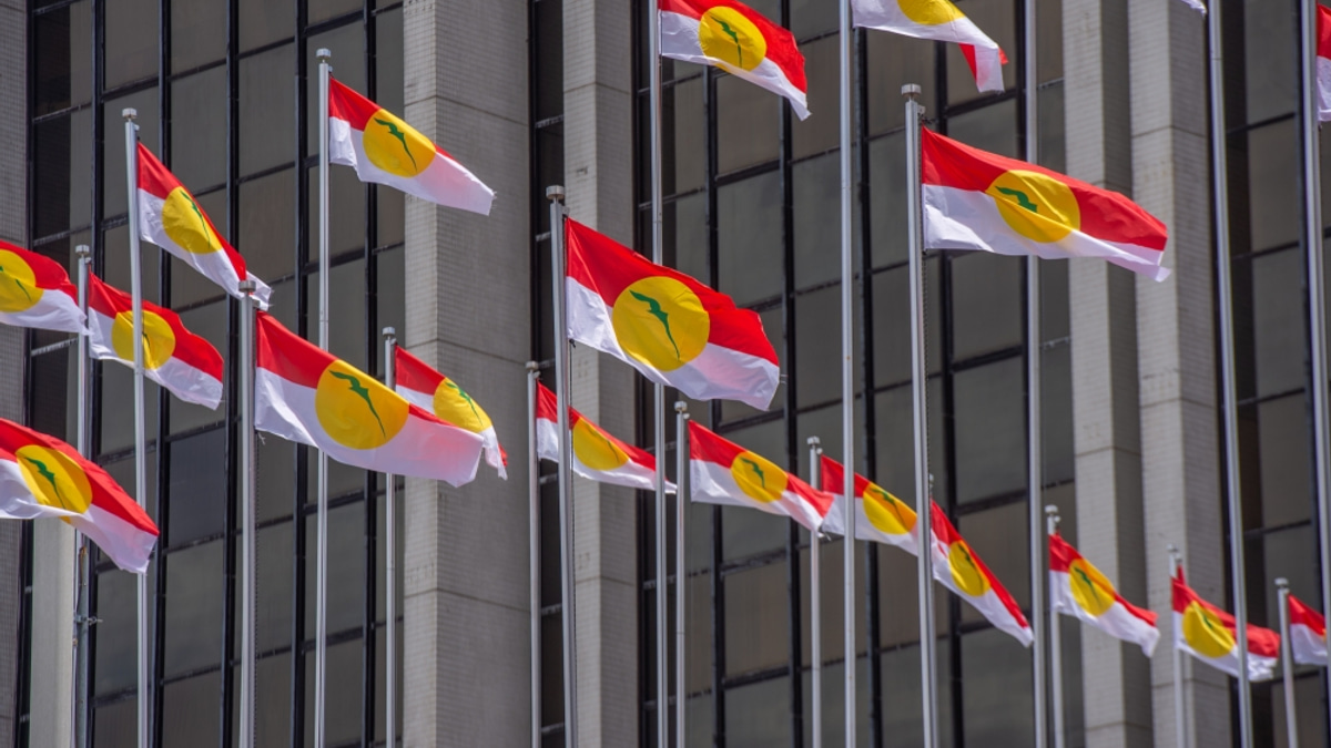 Perlis Umno Set to Go Solo in Next Election, Eyeing All 18 Seats