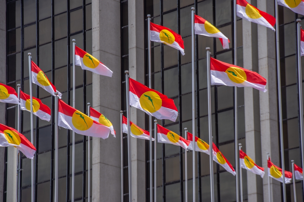 Perlis Umno Set to Go Solo in Next Election, Eyeing All 18 Seats