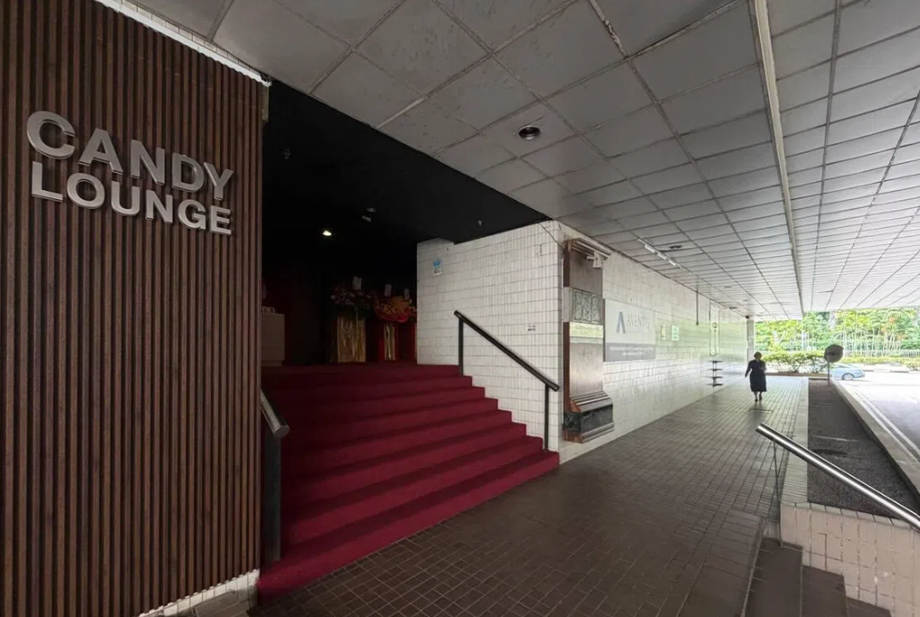 Two arrested after violent brawl outside Singapore nightclub leaves four hospitalised