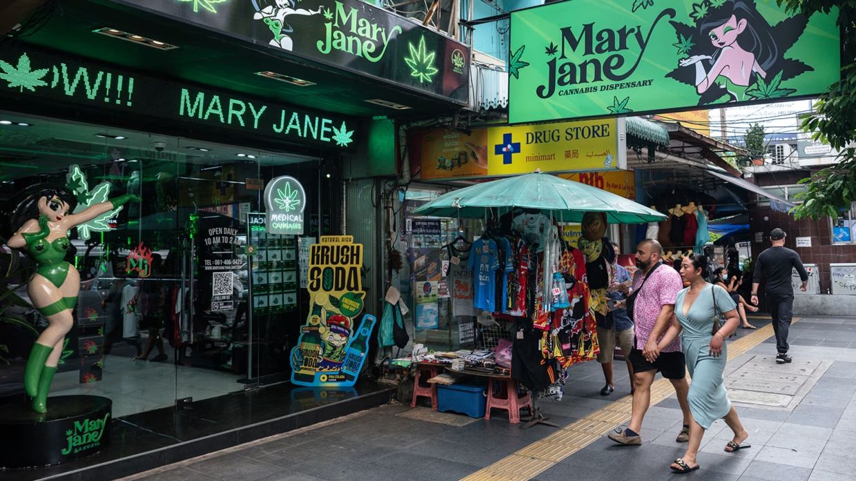 Thailand grapples with cannabis regulation as loopholes and illegal trade undermine policy