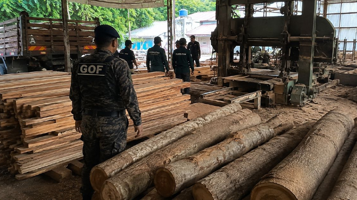 Timber and equipment worth RM640,510 seized in Kuala Berang sawmill raid