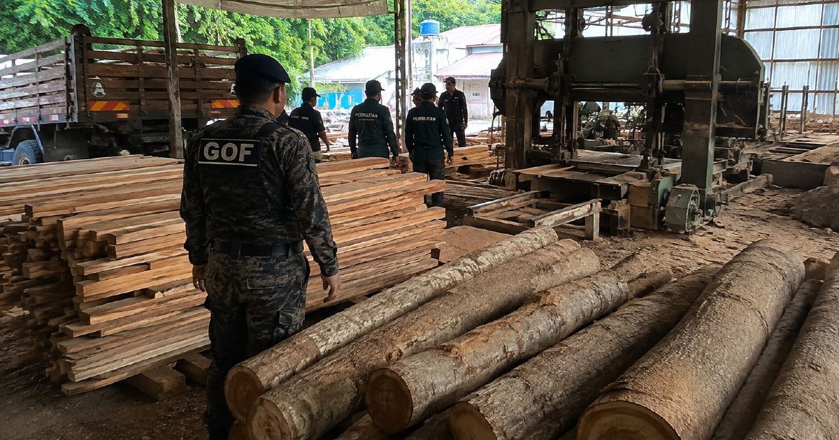 Timber and equipment worth RM640,510 seized in Kuala Berang sawmill raid