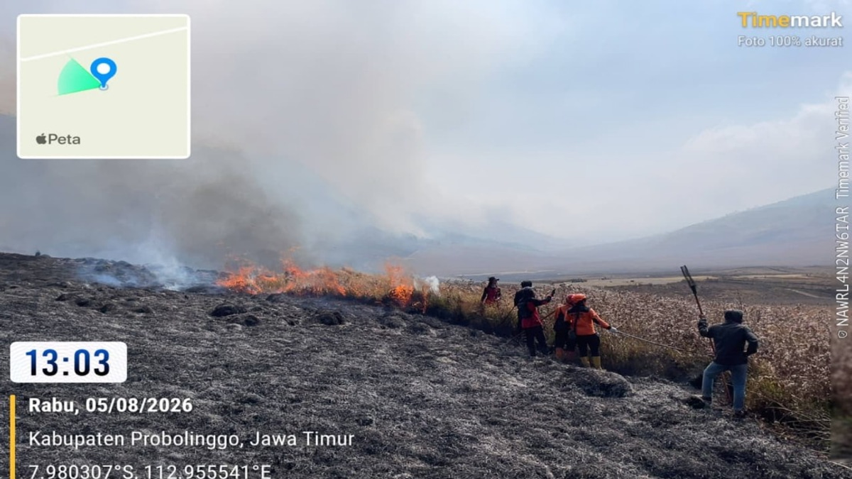 Helicopters Mobilised As Mount Bromo Wildfire Consumes 60 Hectares in East Java