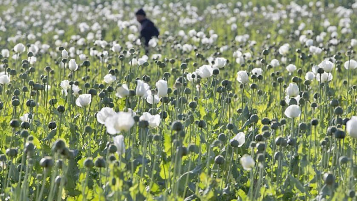 Myanmar Police Seize 17.6kg of Heroin and Over 1 Million Stimulant Tablets
