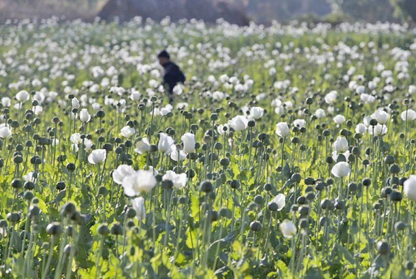 Myanmar Police Seize 17.6kg of Heroin and Over 1 Million Stimulant Tablets