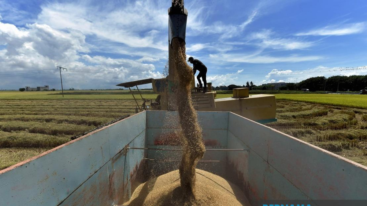 Malaysia Moves to Strengthen Rice Price Controls and Penalties