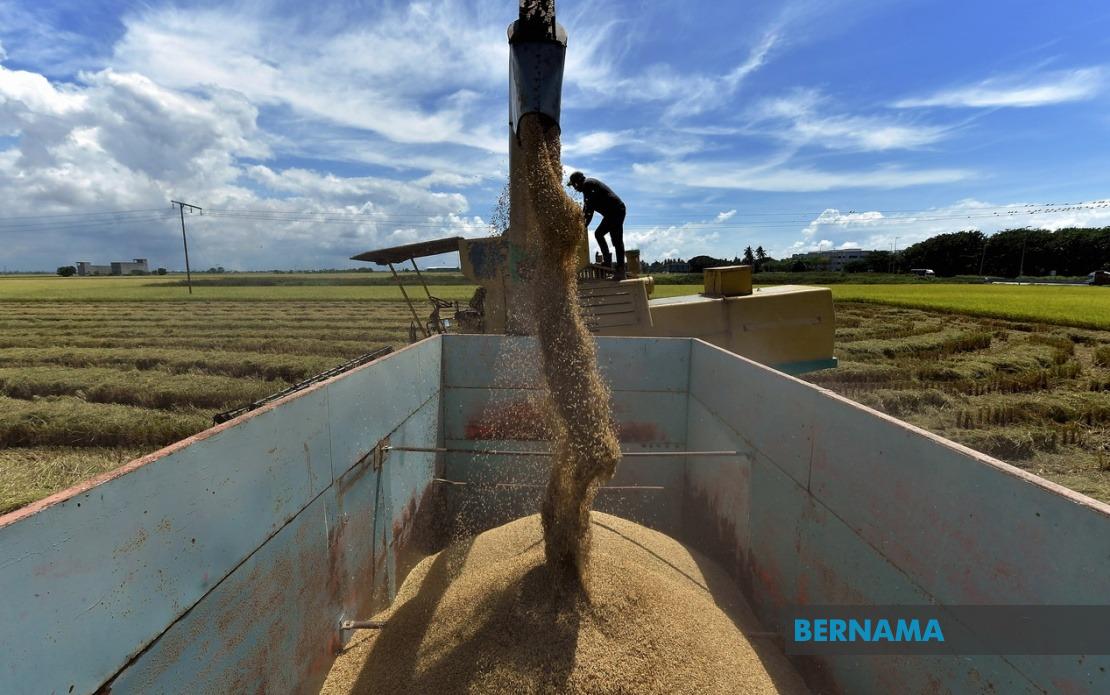 Malaysia Moves to Strengthen Rice Price Controls and Penalties