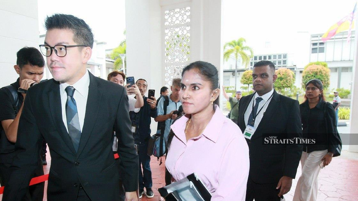 Pet Owner Faces Court for Unlicensed Dog in Klang