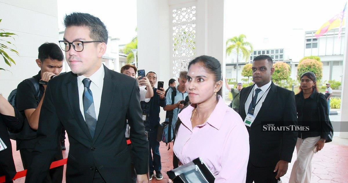 Pet Owner Faces Court for Unlicensed Dog in Klang