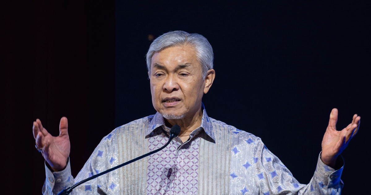Pas's Anti-Harapan Call Won't Guarantee BN Victory in Johor, Zahid Cautions