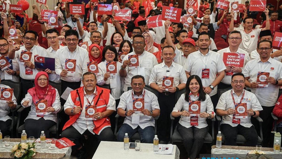 PH's 'Johor Untuk Semua' Manifesto Grounded in Real Needs, Says Teo Nie Ching