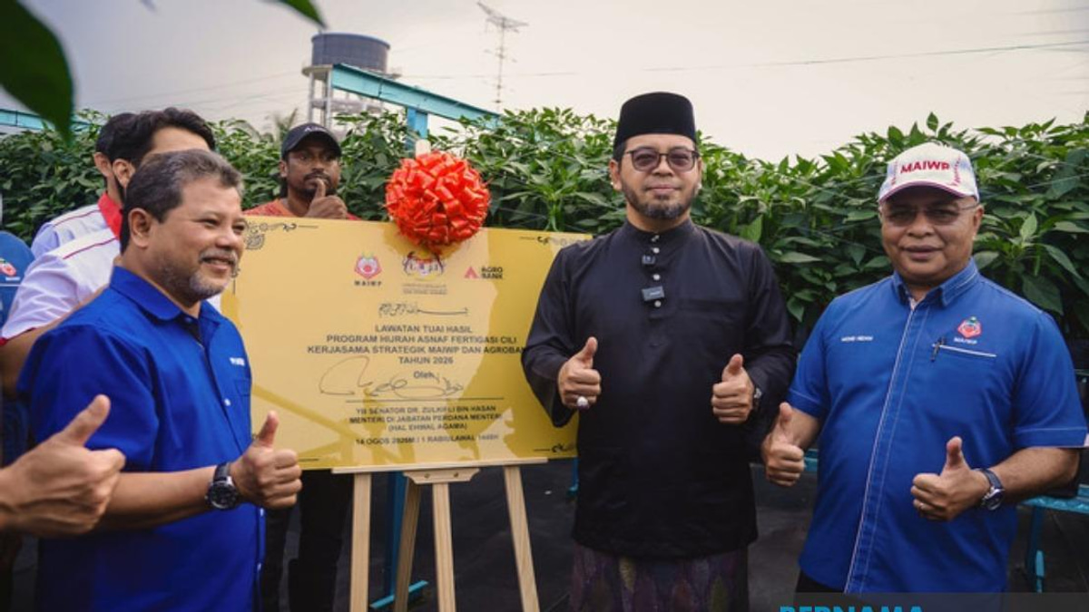 MAIWP Scales Up Asnaf Chilli Farming With Fertigation Technology Expansion