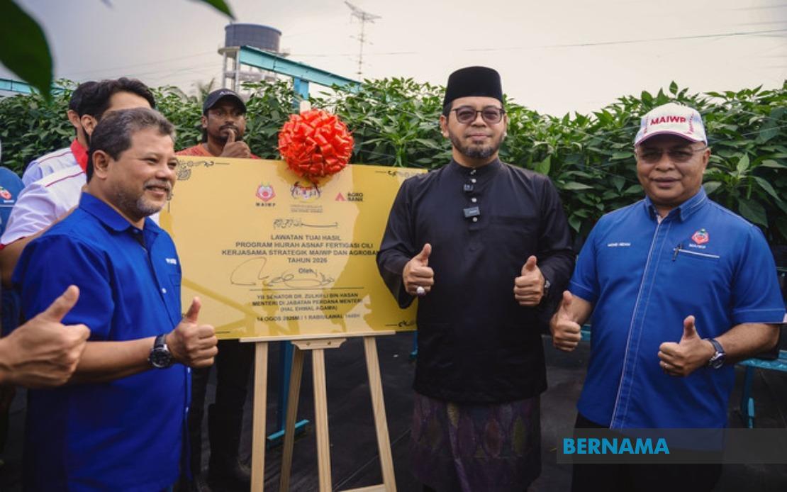 MAIWP Scales Up Asnaf Chilli Farming With Fertigation Technology Expansion