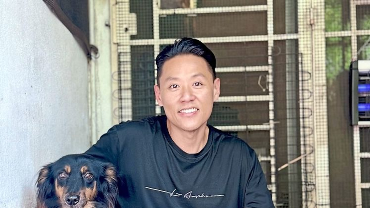 From Silent Rescue to Confident Companion: How One Dog Found Her Voice