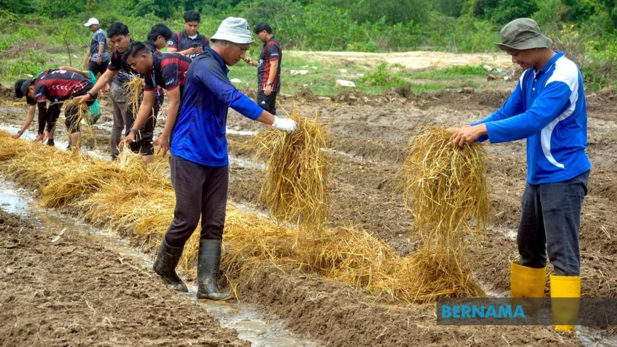 Agricultural TVET Graduates' Employment Climbs To 76%, But Gap Remains Against National Average