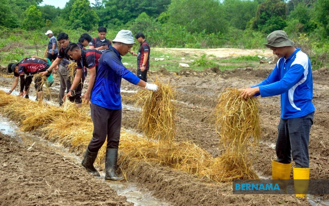 Agricultural TVET Graduates' Employment Climbs To 76%, But Gap Remains Against National Average