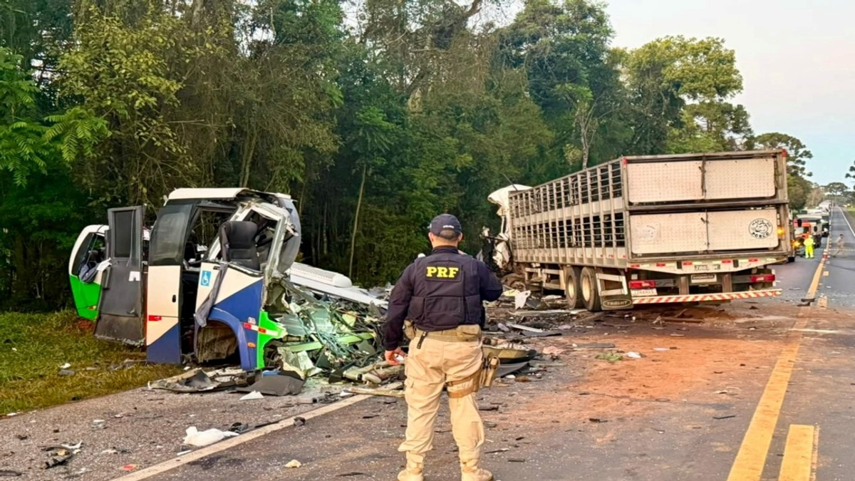 23 Dead in Head-On Bus-Lorry Crash in Brazil's Paraná State