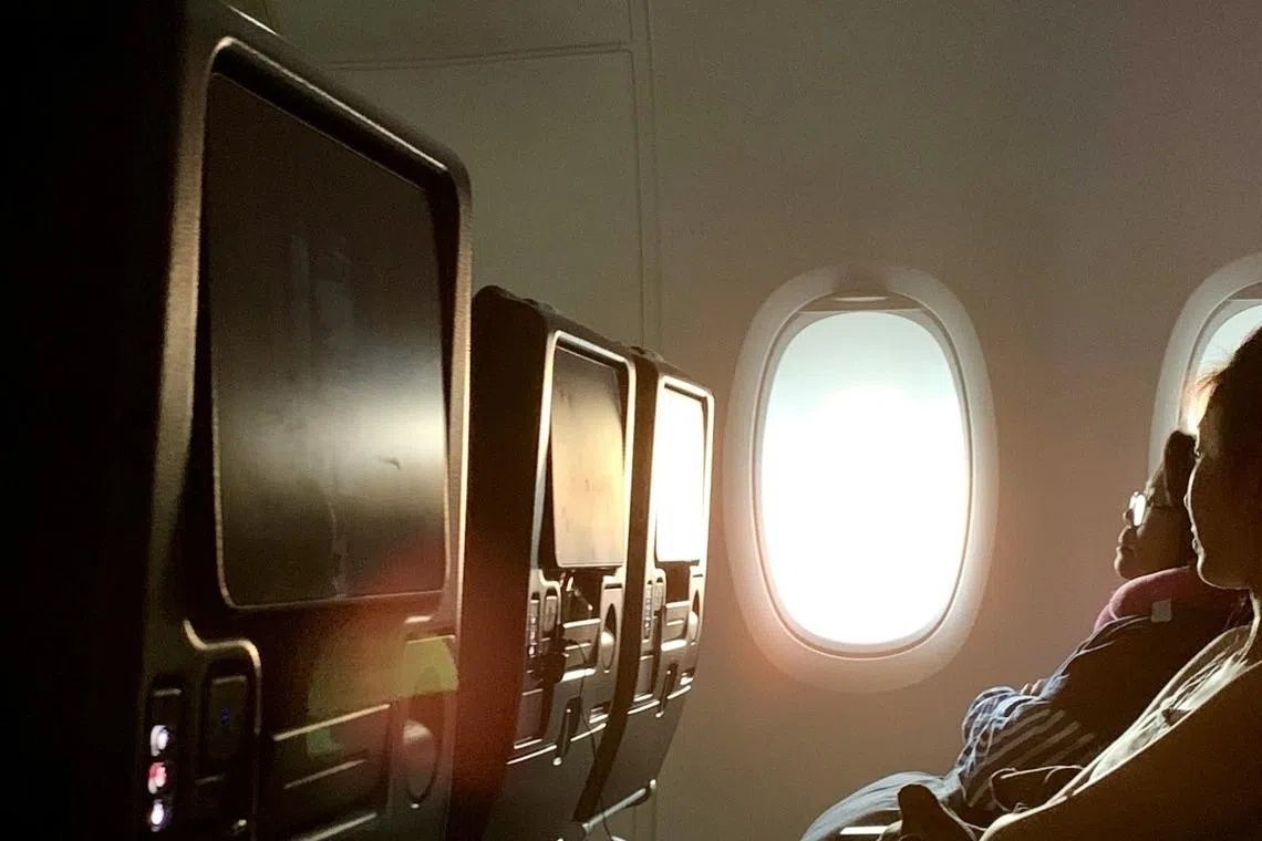 South Korean teen petitions government to shield children from adult content on flights