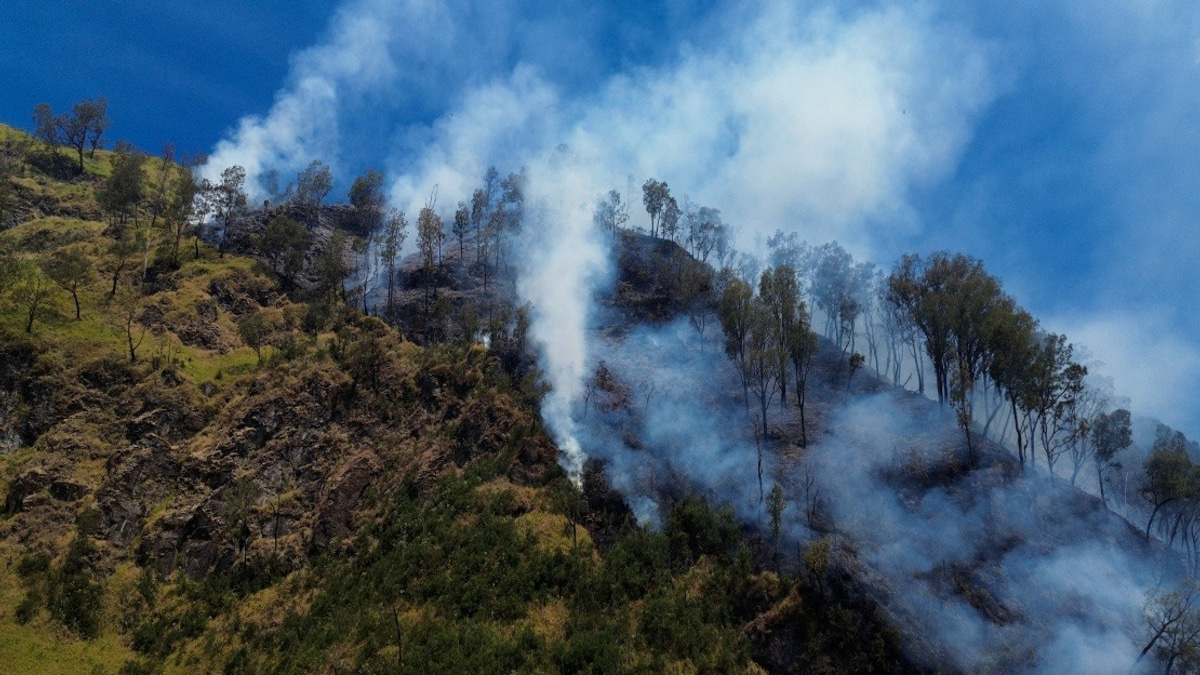 Indonesia Shuts Mount Bromo to Tourists as Wildfire Engulfs East Java Peak