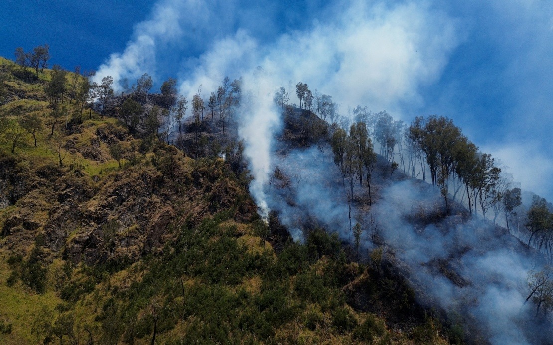 Indonesia Shuts Mount Bromo to Tourists as Wildfire Engulfs East Java Peak