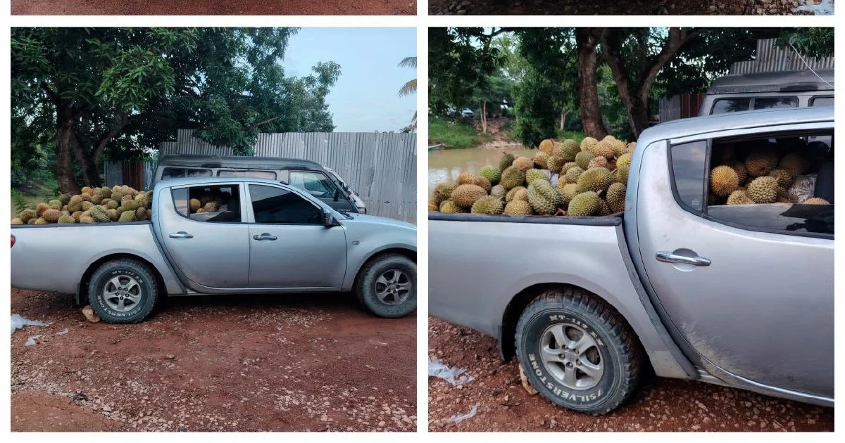 RM60-a-day gig turns costly: Young driver nabbed with 700kg of smuggled durians at Rantau Panjang
