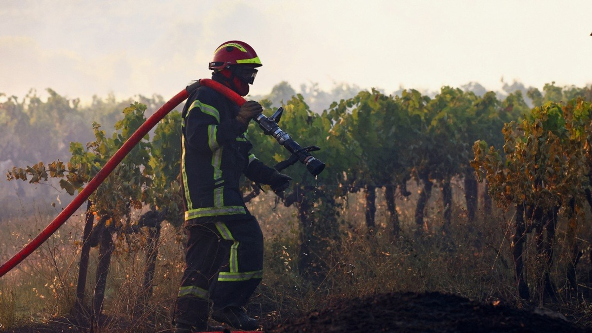 Southeastern France Battles Massive Wildfire as Heat Wave Intensifies