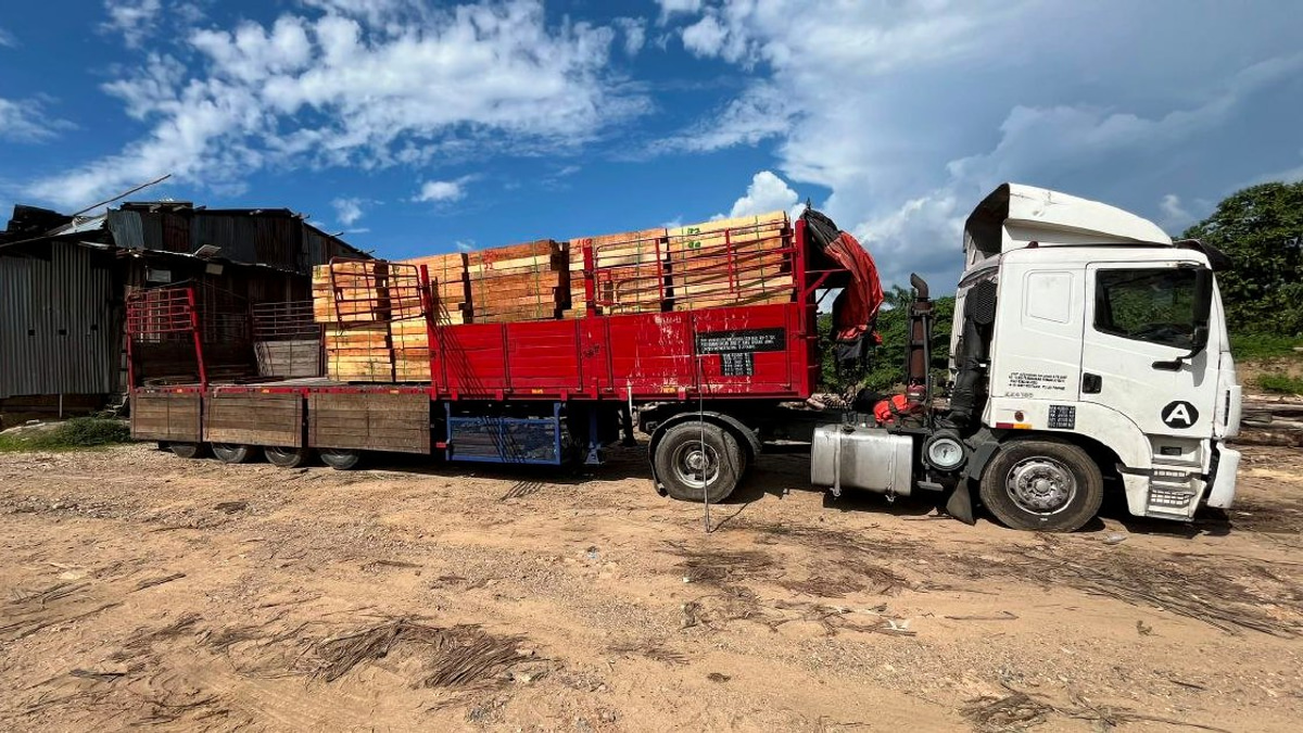 Five arrested as authorities dismantle large-scale illegal timber processing ring in Kelantan