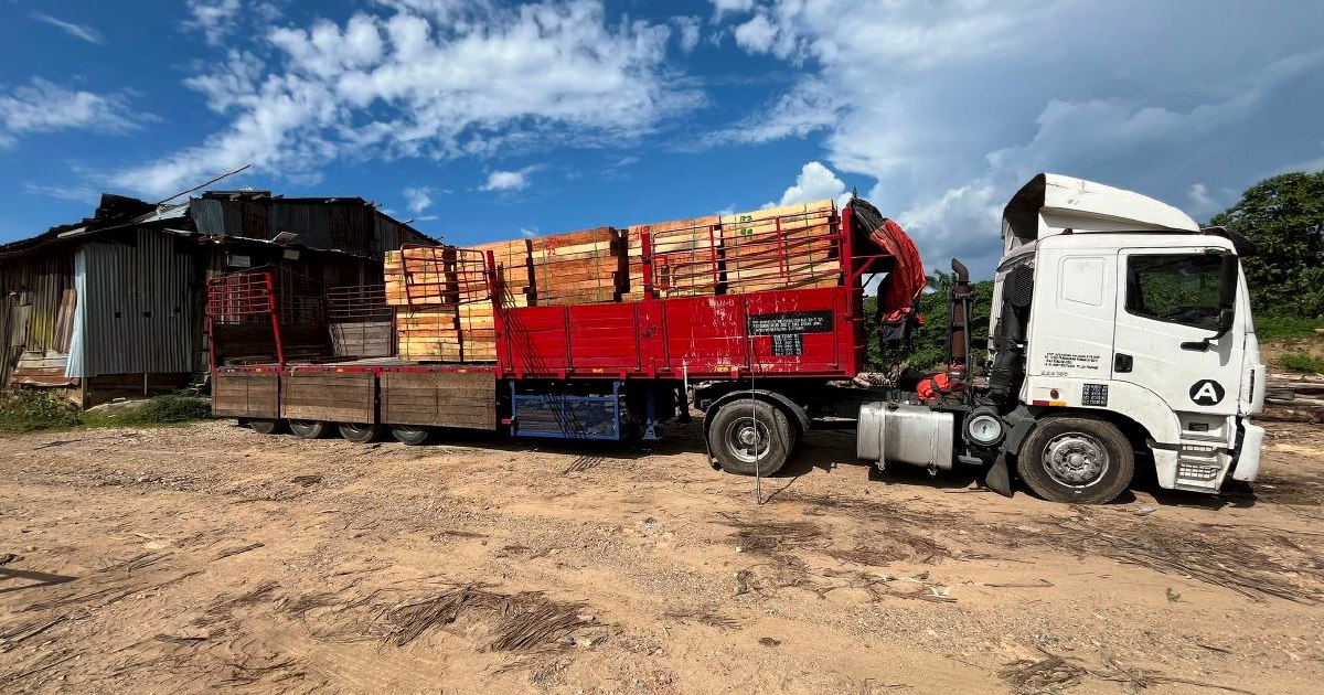 Five arrested as authorities dismantle large-scale illegal timber processing ring in Kelantan