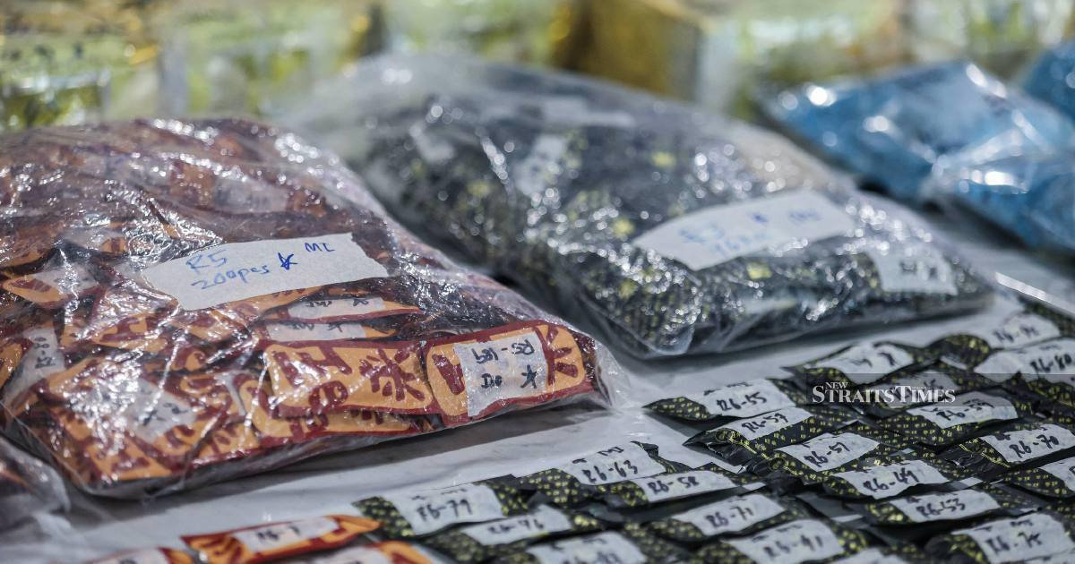 Two brothers nabbed with RM6.85mil drug haul in major maritime bust