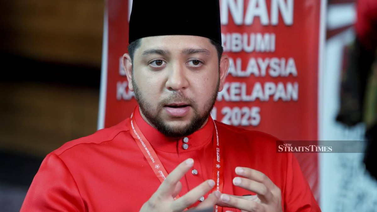 Bersatu Youth calls for swift action against TH mismanagement figures