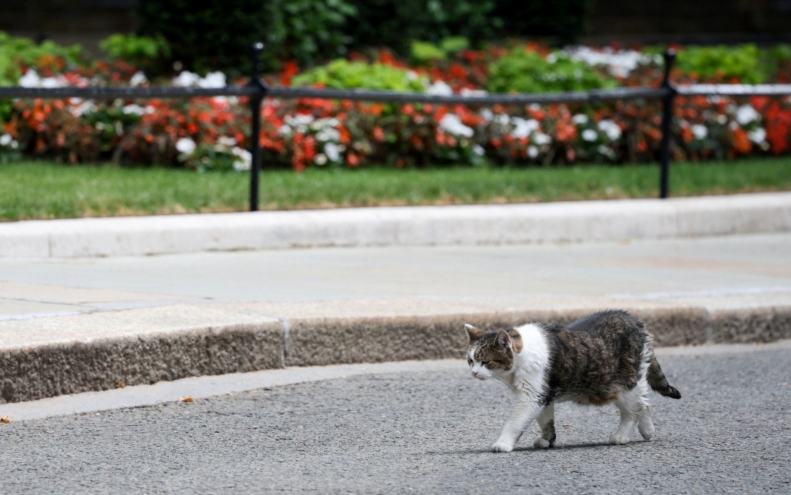 Larry the Cat: A Whisker-Thin Connection Through Six British Prime Ministers