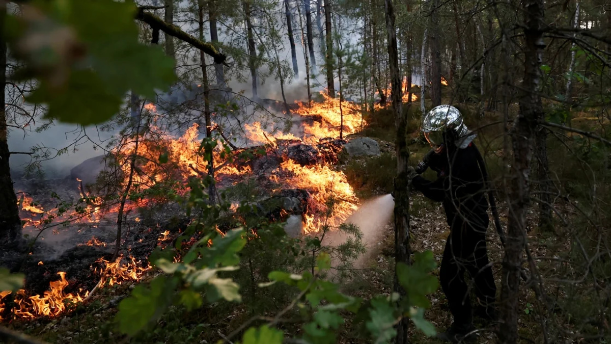 France battles massive wildfires as two arrested over suspected arson near Paris