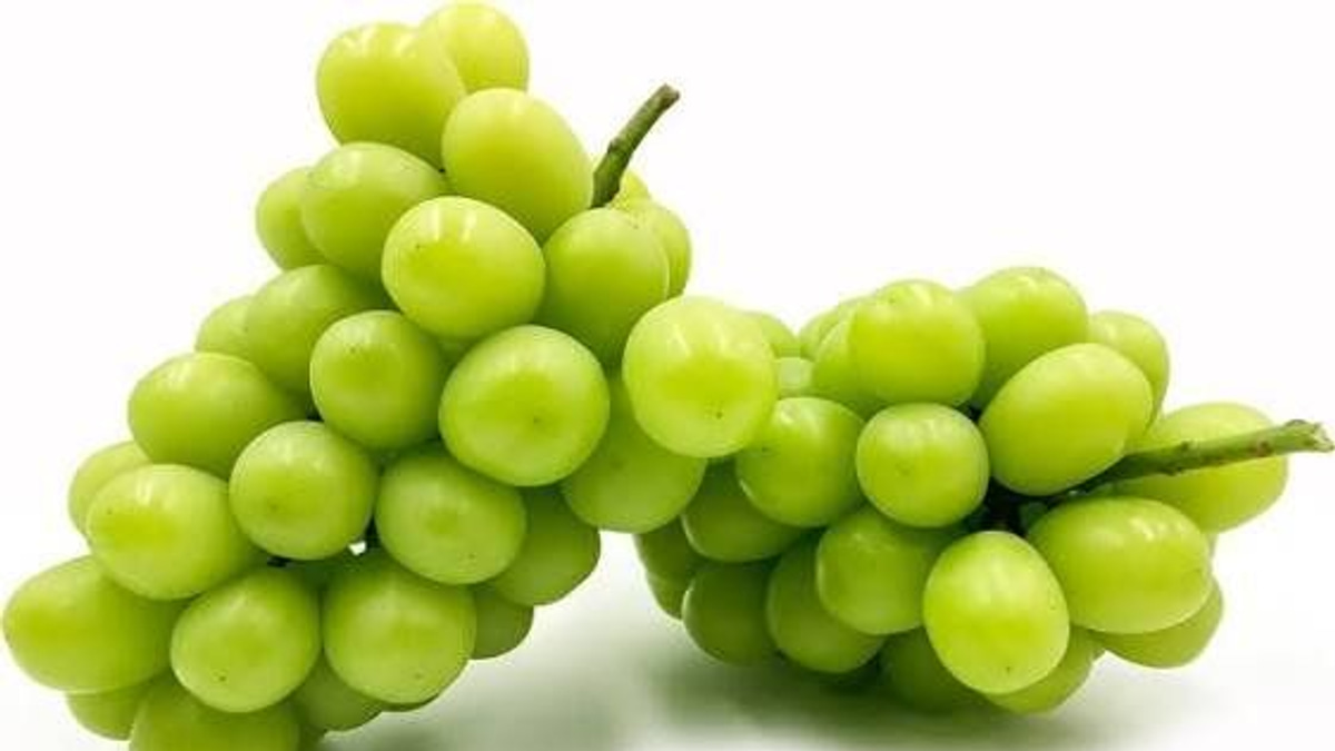 Japanese Man Arrested for RM36,000 Grape Heist from Okayama Greenhouse