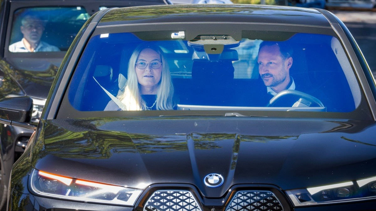 Norwegian King Harald's Health Takes Serious Turn as Palace Signals Grave Concerns