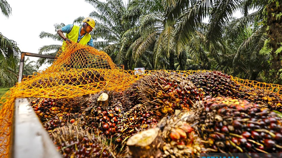 MPOB Research Station To Transform Melaka's Palm Oil Sector