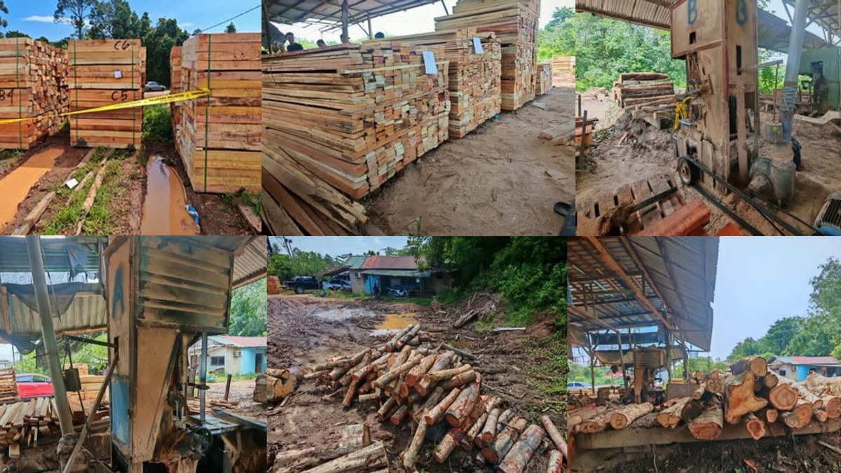 Authorities Clamp Down on Illegal Sawmill Operations in Kelantan, Seizing Timber and Equipment Worth RM600,000