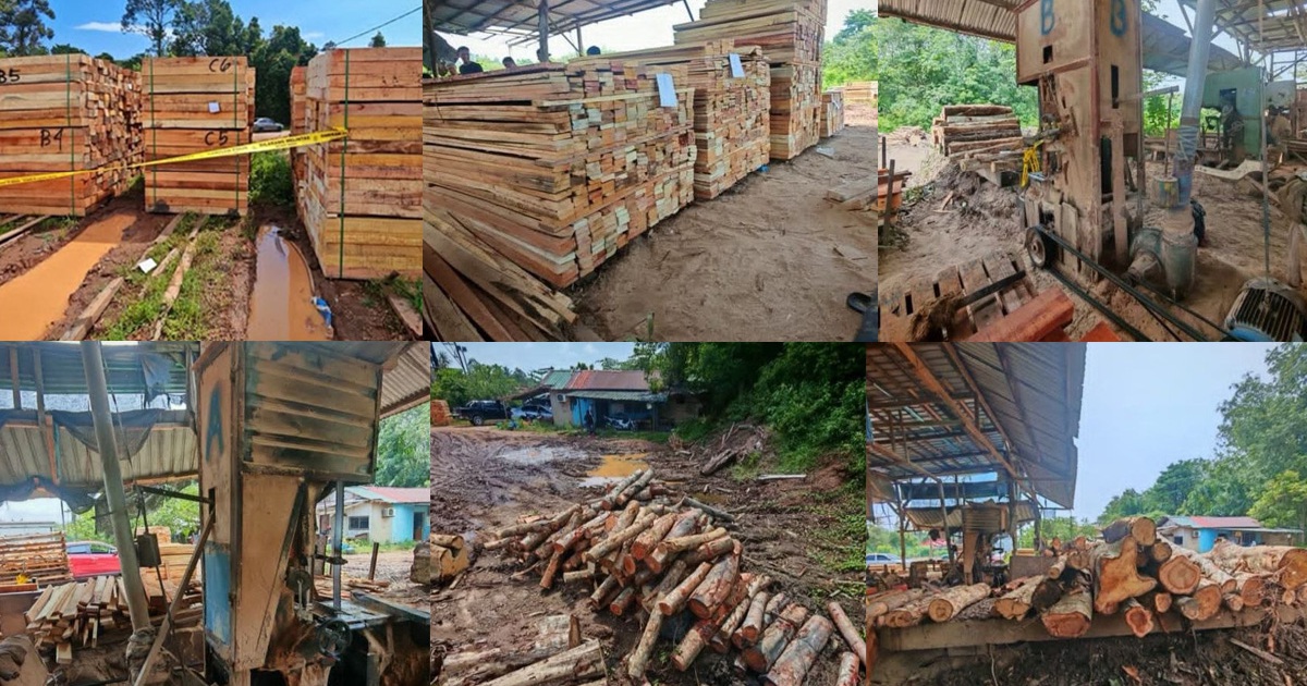 Authorities Clamp Down on Illegal Sawmill Operations in Kelantan, Seizing Timber and Equipment Worth RM600,000