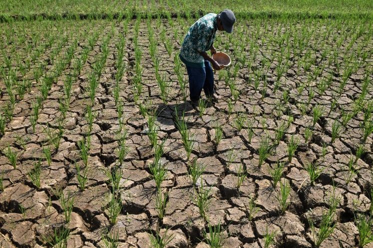 Indonesia's Widening Drought Crisis Tests Regional Resilience as El Niño Intensifies