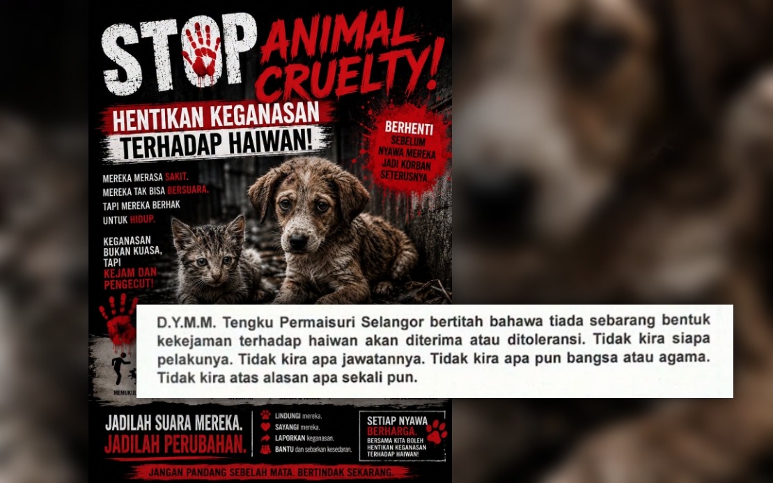 Tengku Permaisuri Selangor Demands Stricter Laws Against Animal Cruelty