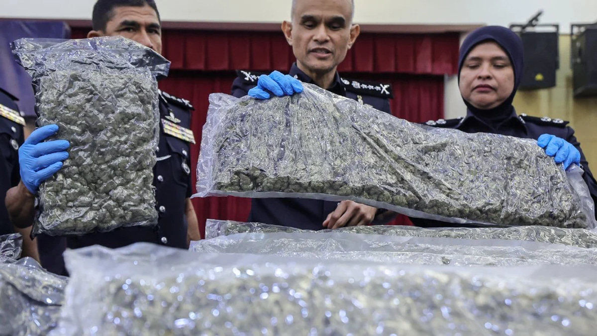 Major Cannabis Haul at KLIA: Police Net 650kg in Six-Month Crackdown with 38 Arrests