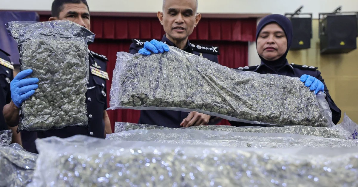 Major Cannabis Haul at KLIA: Police Net 650kg in Six-Month Crackdown with 38 Arrests