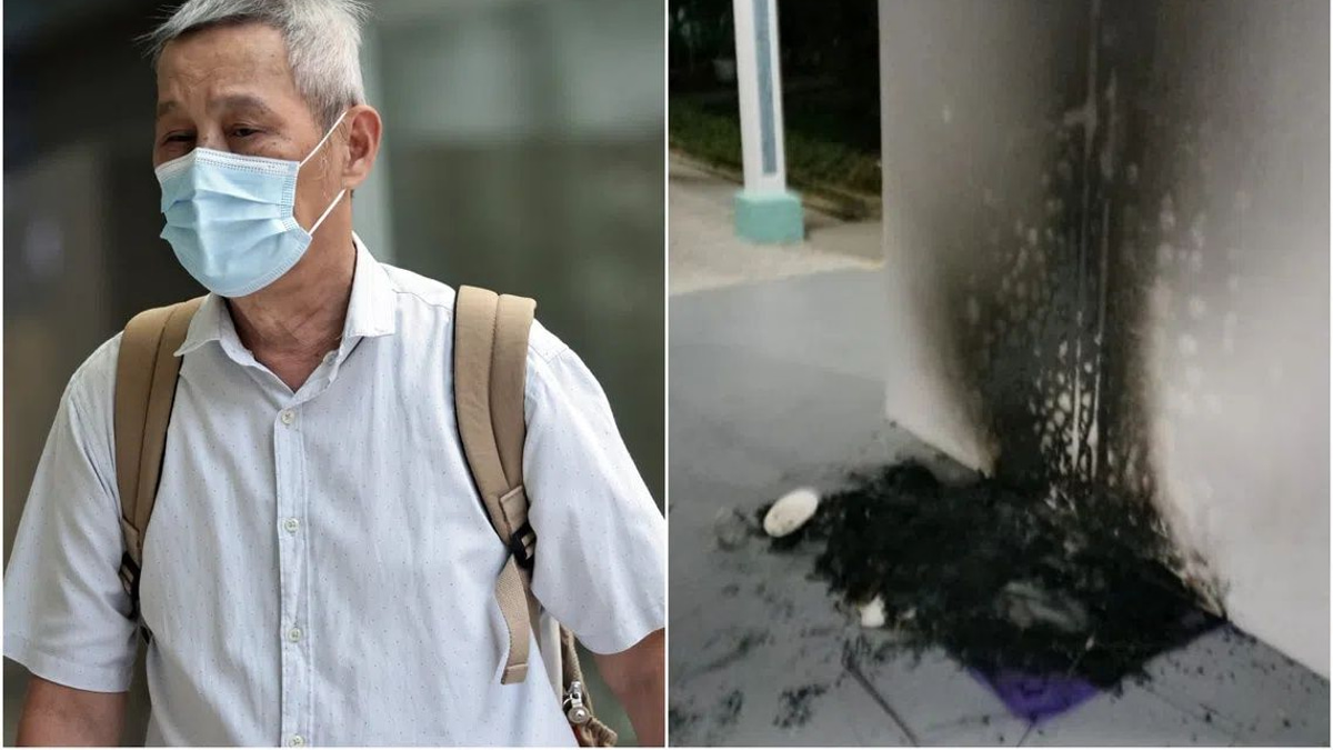 Singapore Man Jailed for Burning Community Cat Houses in Bukit Batok