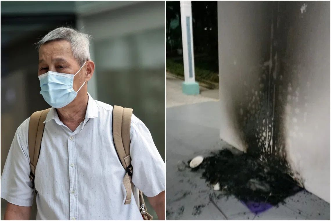 Singapore Man Jailed for Burning Community Cat Houses in Bukit Batok
