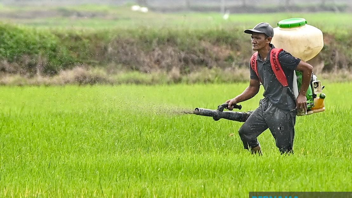 Kelantan Invests RM3.64 Million in Agriculture Drive Covering 10 Development Projects